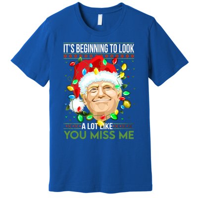 Its Beginning To Look A Lot Like You Miss Me Trump Christmas Cool Gift Premium T-Shirt