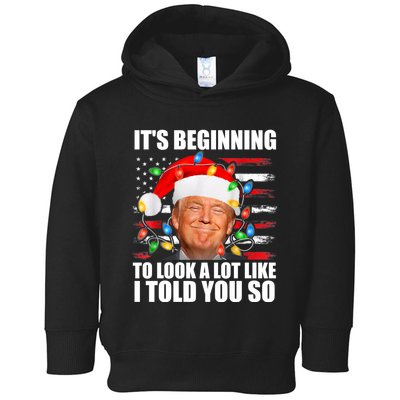 ItS Beginning To Look A Lot Like I Told You So Trump 2024 Xmas Christmas Toddler Hoodie