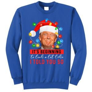 It's Beginning To Look A Lot Like I Told You So Trump Xmas Great Gift Sweatshirt