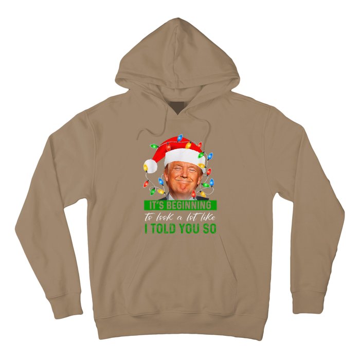 ItS Beginning To Look A Lot Like I Told You So Trump Xmas Hoodie