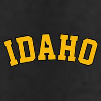 Idaho Basic  Vandal College Potatoe State 11oz C Handle Ceramic Mug