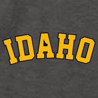 Idaho Basic  Vandal College Potatoe State Vector Backpack