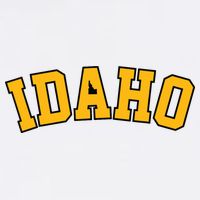 Idaho Basic Vandal College Potatoe State Gift 11oz C Handle Ceramic Mug