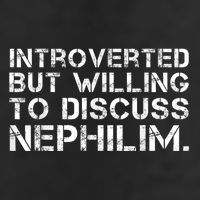 Introverted But Willing To Discuss Nephilim Funny Introverted Design 7 Panel Mesh Trucker Snapback Hat