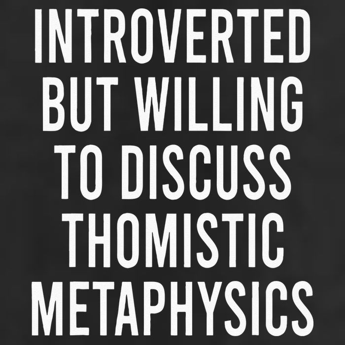Introverted But Willing To Discuss Thomistic Metaphysics Knit Cap Winter Beanie