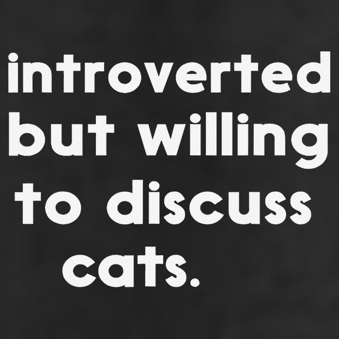 Introverted But Willing To Discuss Cats Funny Cat Lover Knit Cap Winter Beanie