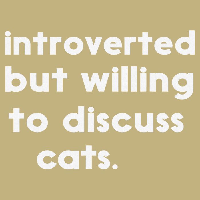 Introverted But Willing To Discuss Cats Funny Cat Lover Mousepad