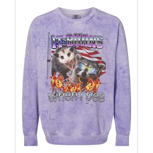 It Burns When I Pee Possum Raccoon Funny Colorblast Crewneck Sweatshirt