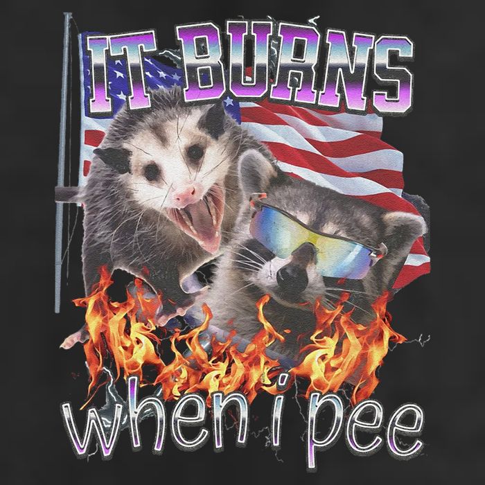 It Burns When I Pee Possum Raccoon Funny 7 Panel Mesh Trucker Snapback Hat