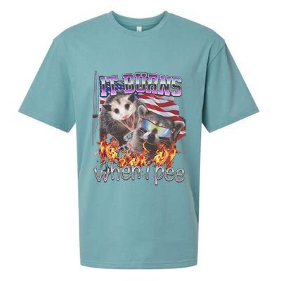 It Burns When I Pee Possum Raccoon Funny Sueded Cloud Jersey T-Shirt