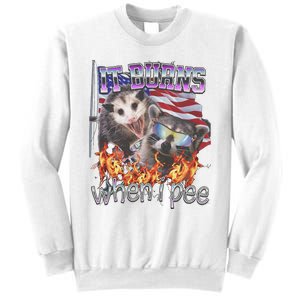 It Burns When I Pee Possum Raccoon Funny Sweatshirt