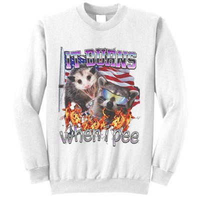 It Burns When I Pee Possum Raccoon Funny Sweatshirt