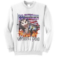 It Burns When I Pee Possum Raccoon Funny Sweatshirt