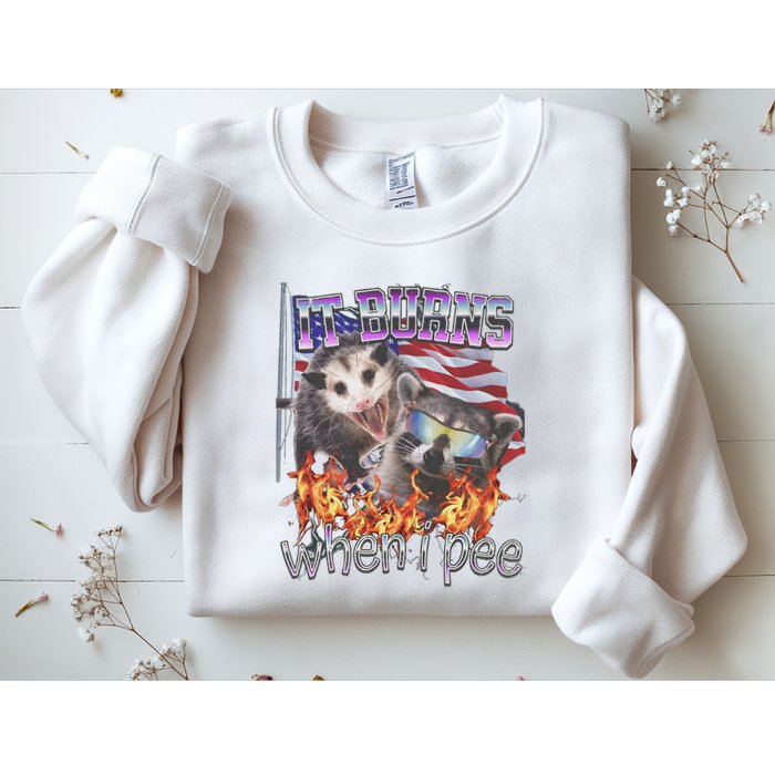 It Burns When I Pee Possum Raccoon Funny Sweatshirt
