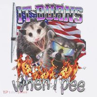 It Burns When I Pee Possum Raccoon Funny 11oz C Handle Ceramic Mug