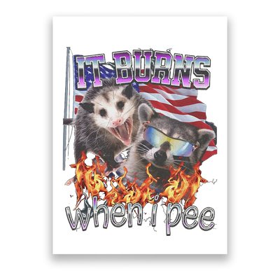 It Burns When I Pee Possum Raccoon Funny Poster