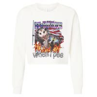 It Burns When I Pee Possum Raccoon Funny Cropped Pullover Crew