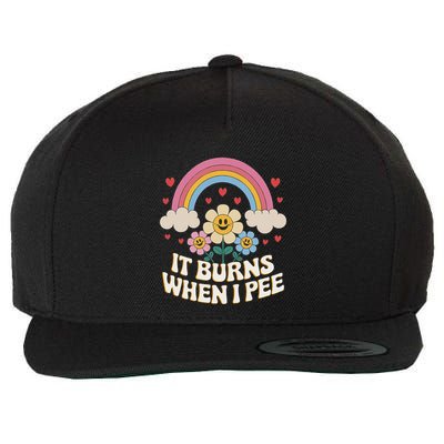 It Burns When I Pee Funny Sarcastic Ironic Inappropriate Wool Snapback Cap