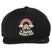 It Burns When I Pee Funny Sarcastic Ironic Inappropriate Wool Snapback Cap