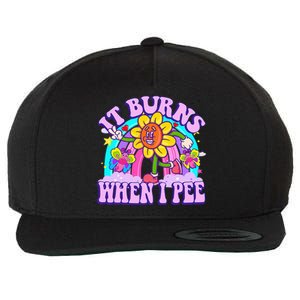 It Burns When I Pee Funny Sarcastic Ironic Inappropriate Wool Snapback Cap