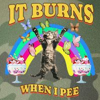 It Burns When I Pee Funny Cat Meme Rainbow Saying Sarcastic Legacy Tie Dye Trucker Hat