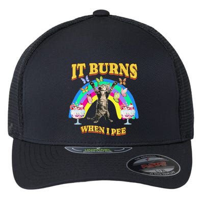 It Burns When I Pee Funny Cat Meme Rainbow Saying Sarcastic Flexfit Unipanel Trucker Cap
