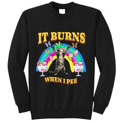 It Burns When I Pee Funny Cat Meme Rainbow Saying Sarcastic Sweatshirt