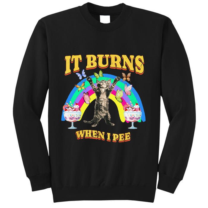 It Burns When I Pee Funny Cat Meme Rainbow Saying Sarcastic Sweatshirt