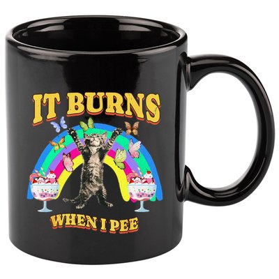 It Burns When I Pee Funny Cat Meme Rainbow Saying Sarcastic 11oz C Handle Ceramic Mug