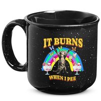 It Burns When I Pee Funny Cat Meme Rainbow Saying Sarcastic 15oz Campfire Ceramic Mug
