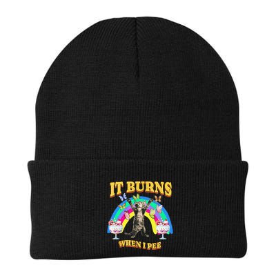 It Burns When I Pee Funny Cat Meme Rainbow Saying Sarcastic Beanie