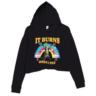 It Burns When I Pee Funny Cat Meme Rainbow Saying Sarcastic Crop Fleece Hoodie