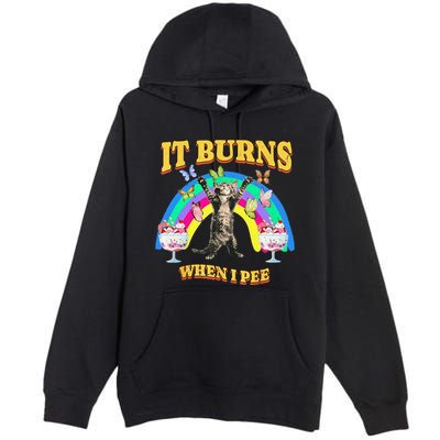 It Burns When I Pee Funny Cat Meme Rainbow Saying Sarcastic Premium Pullover Hoodie