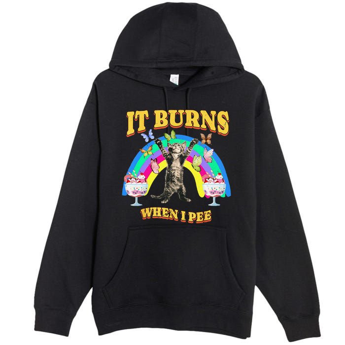 It Burns When I Pee Funny Cat Meme Rainbow Saying Sarcastic Premium Pullover Hoodie