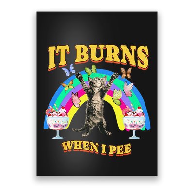 It Burns When I Pee Funny Cat Meme Rainbow Saying Sarcastic Poster