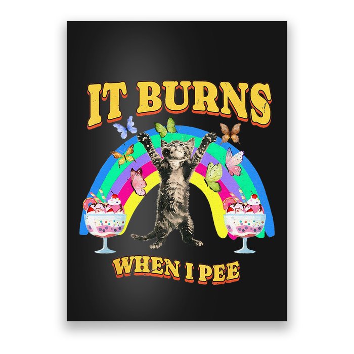 It Burns When I Pee Funny Cat Meme Rainbow Saying Sarcastic Poster