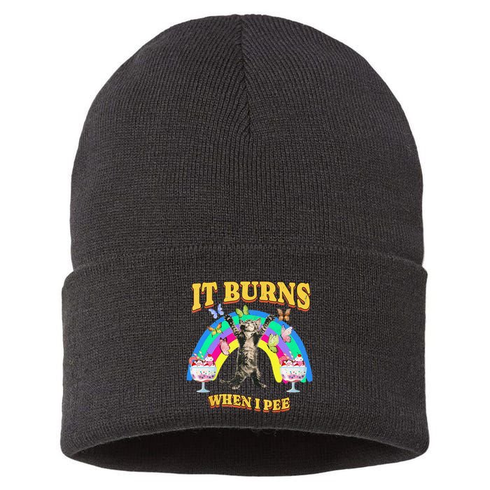 It Burns When I Pee Funny Cat Meme Rainbow Saying Sarcastic Sustainable Knit Beanie