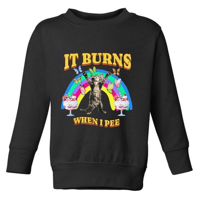 It Burns When I Pee Funny Cat Meme Rainbow Saying Sarcastic Toddler Sweatshirt