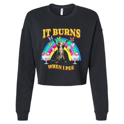 It Burns When I Pee Funny Cat Meme Rainbow Saying Sarcastic Cropped Pullover Crew