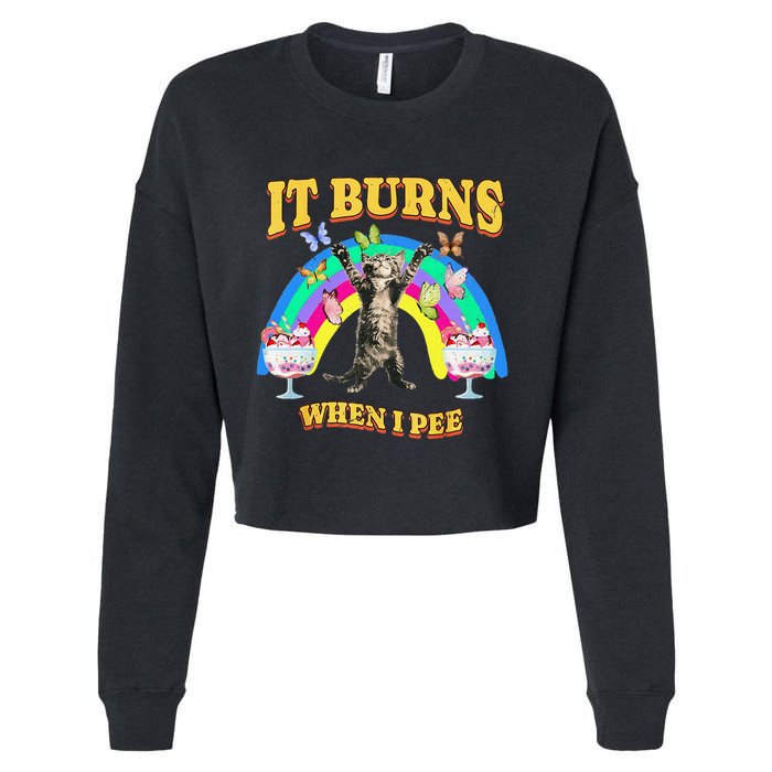 It Burns When I Pee Funny Cat Meme Rainbow Saying Sarcastic Cropped Pullover Crew