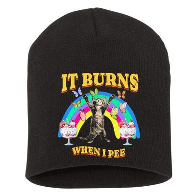 It Burns When I Pee Funny Cat Meme Rainbow Saying Sarcastic Short Acrylic Beanie