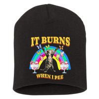 It Burns When I Pee Funny Cat Meme Rainbow Saying Sarcastic Short Acrylic Beanie