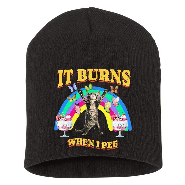 It Burns When I Pee Funny Cat Meme Rainbow Saying Sarcastic Short Acrylic Beanie