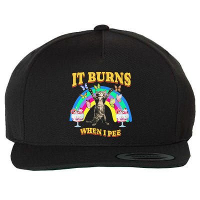 It Burns When I Pee Funny Cat Meme Rainbow Saying Sarcastic Wool Snapback Cap