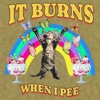 It Burns When I Pee Funny Cat Meme Rainbow Saying Sarcastic Garment-Dyed Women's Muscle Tee