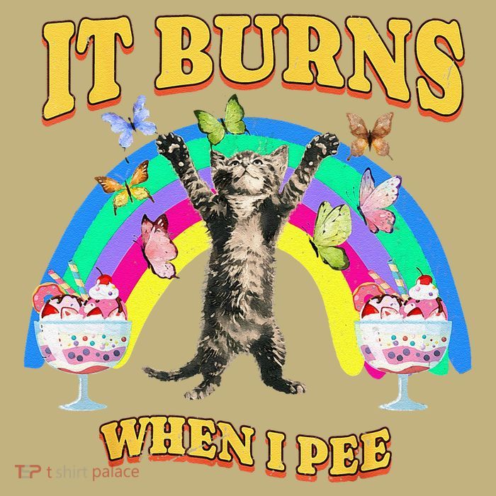 It Burns When I Pee Funny Cat Meme Rainbow Saying Sarcastic Magnet