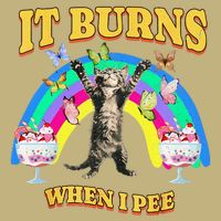 It Burns When I Pee Funny Cat Meme Rainbow Saying Sarcastic Cooling Performance Long Sleeve Crew