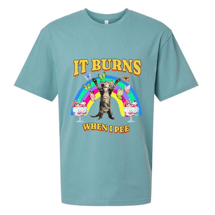 It Burns When I Pee Funny Cat Meme Rainbow Saying Sarcastic Sueded Cloud Jersey T-Shirt