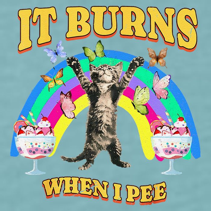 It Burns When I Pee Funny Cat Meme Rainbow Saying Sarcastic Sueded Cloud Jersey T-Shirt
