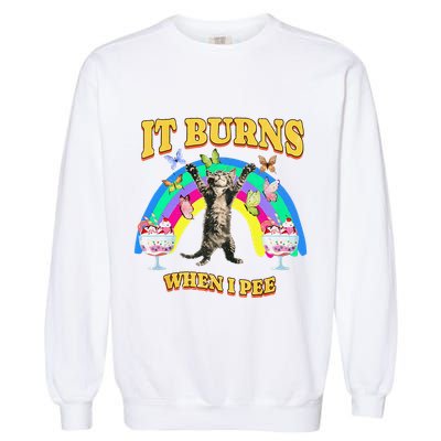 It Burns When I Pee Funny Cat Meme Rainbow Saying Sarcastic Garment-Dyed Sweatshirt